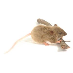 Hansa Fat Rat Teddy Mary Shortle