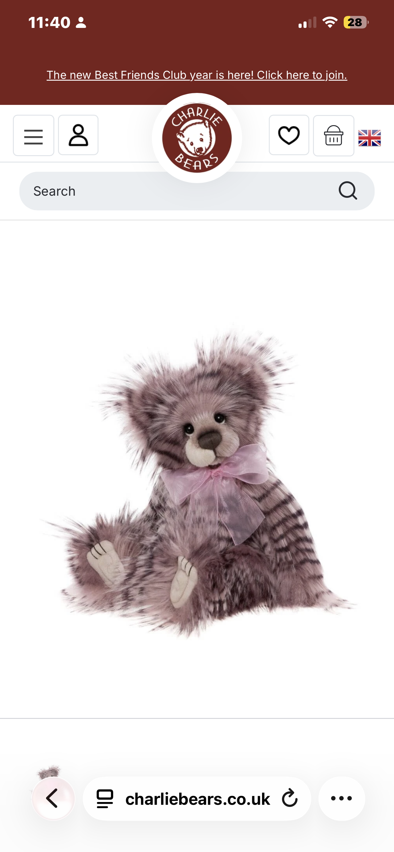 Strawberry Shortcake  ⋅ Charlie Bears