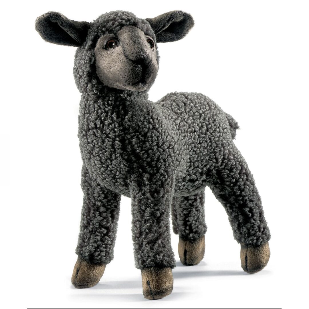 Black Lamb Hansa 3454 Mary Shortle-min (1)