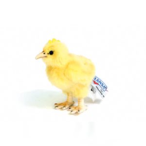 Chick Hansa 5978 Mary Shortle 2-min (1)