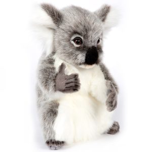 Koala Hansa 7633 Mary Shortle 2-min