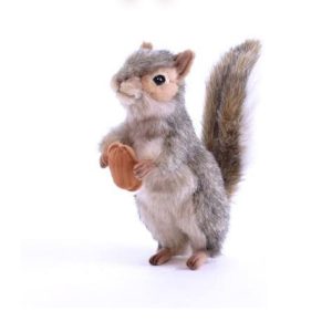 Squirrel 4841-min