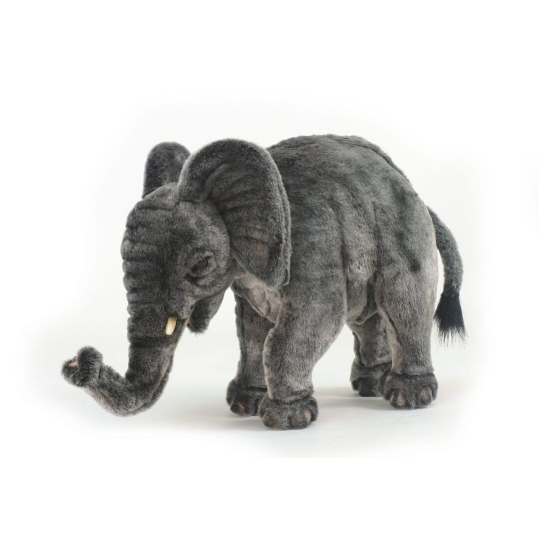 Hansa Elephant-min