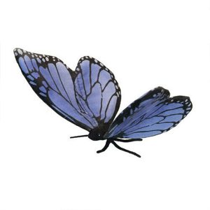 Monarch Butterfly Hansa Blue