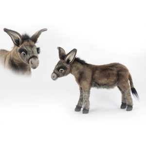 Hansa Donkey-min