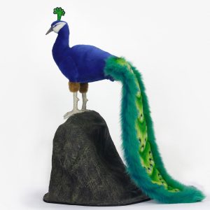 Hansa Peacock-min