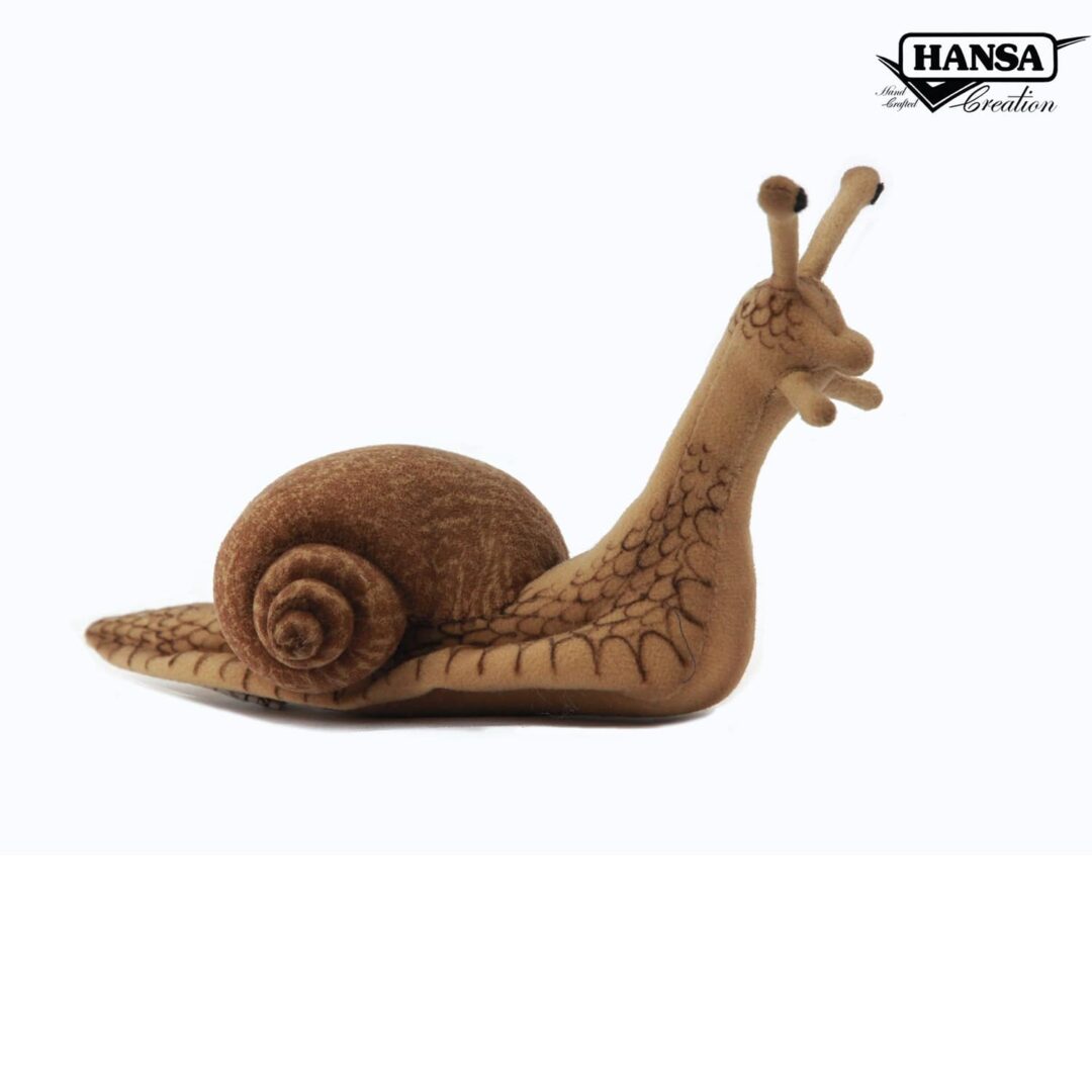 Snail HANSA-min (1)