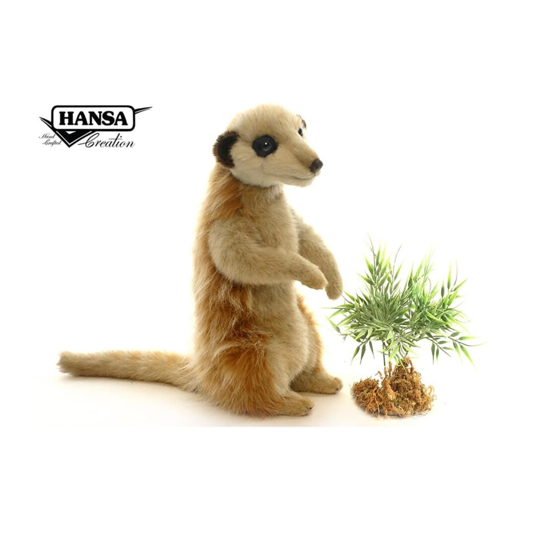 Hansa Meerket,-min