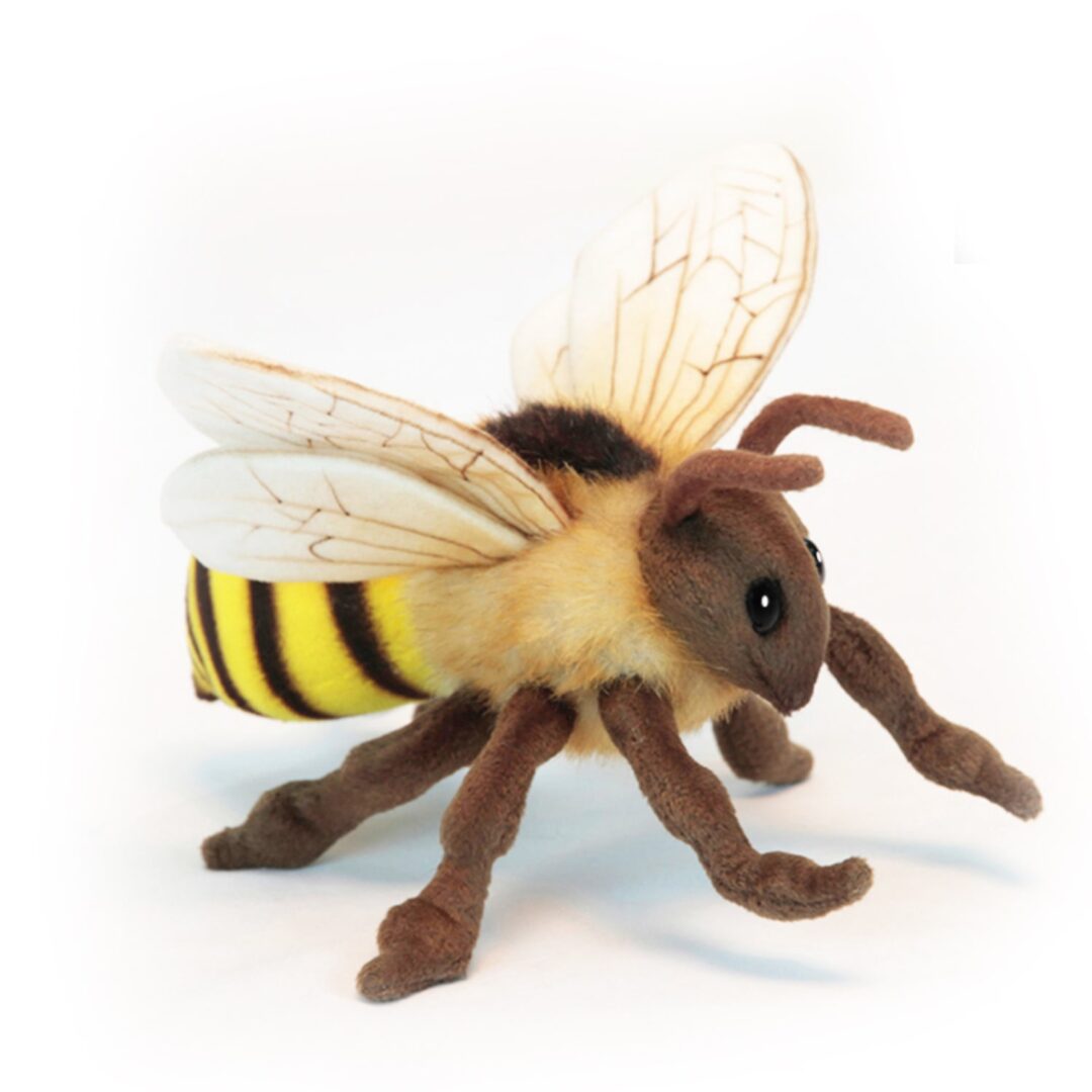 Honeybee Hansa-min