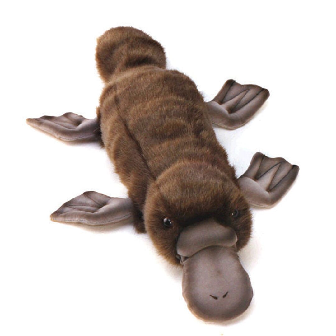 hansa platypus-min