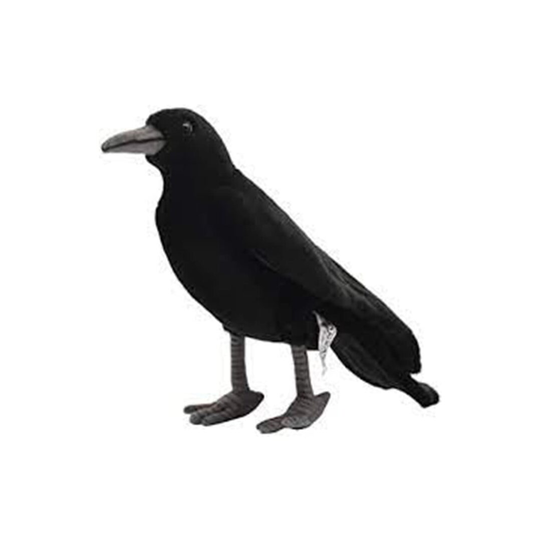 hansa crow-min