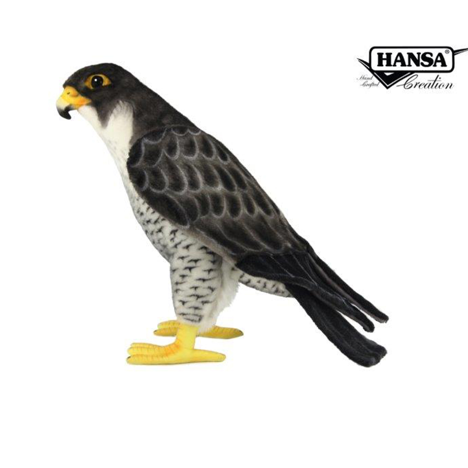 Falcon  ⋅ Hansa