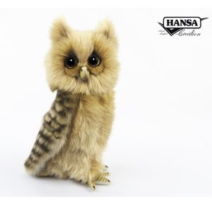 Philippine Eagle Owl ⋅ Hansa