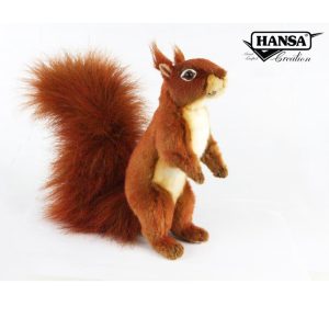 Red Squirrel⋅ Hansa