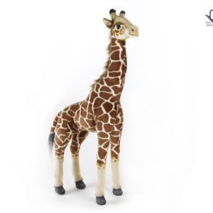 Giraffe Standing ⋅ Hansa