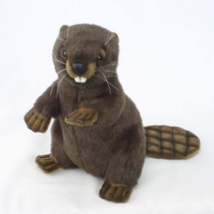Beaver ⋅ Hansa