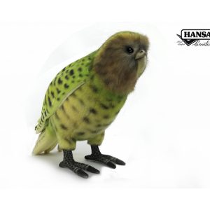 Bird Kakapo ⋅ Hansa