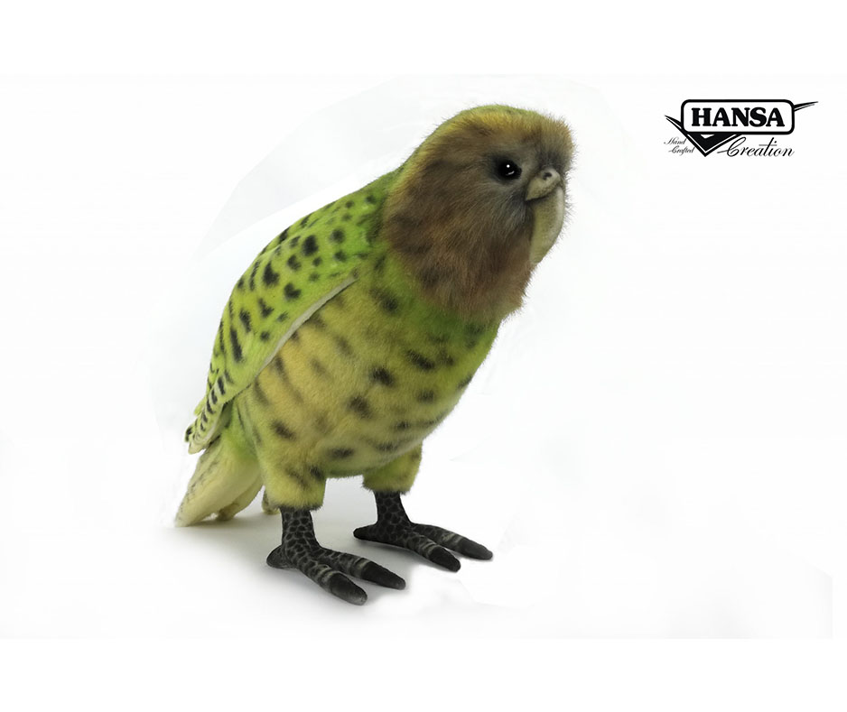 Bird Kakapo ⋅ Hansa