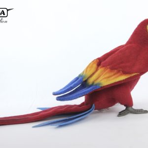 Scarlet Macaw ⋅ Hansa