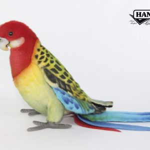 Eastern Rosella ⋅ Hansa
