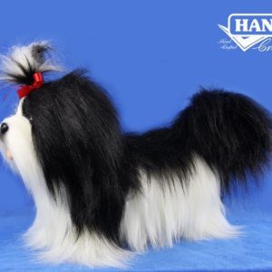 Shih Tzu Black and White ⋅ Hansa