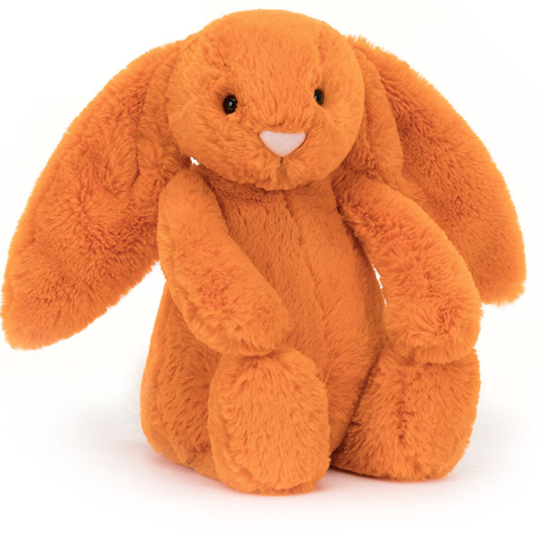 Bashful Amberley Bunny ⋅ Jellycat Retired