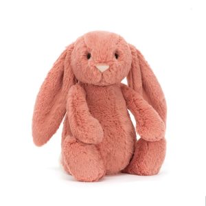 Bashful  Sorell Bunny ⋅ Jellycat HTF