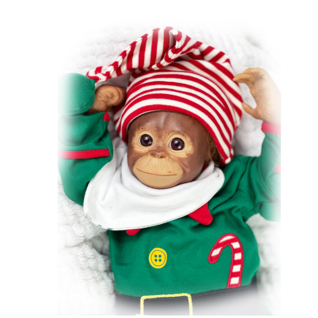Charlie  ⋅ Reborn Monkey