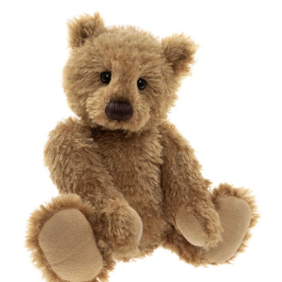 Huggable Harry  ⋅ Charlie Bears