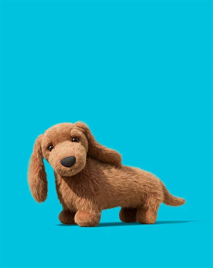Pecanine Sausage Dog ⋅ Jellycat